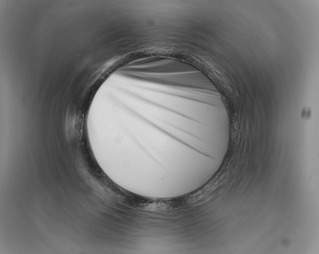 X0000096180168200802151449