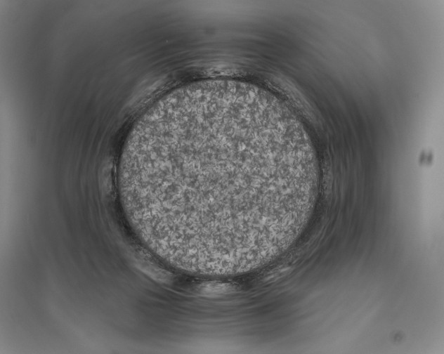 X0000096180169200802151449