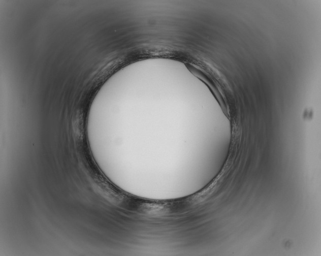 X0000096180170200802151449