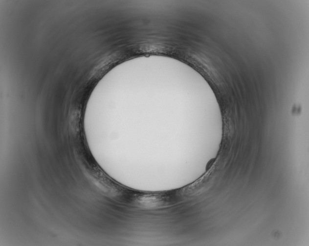 X0000096180171200802151449