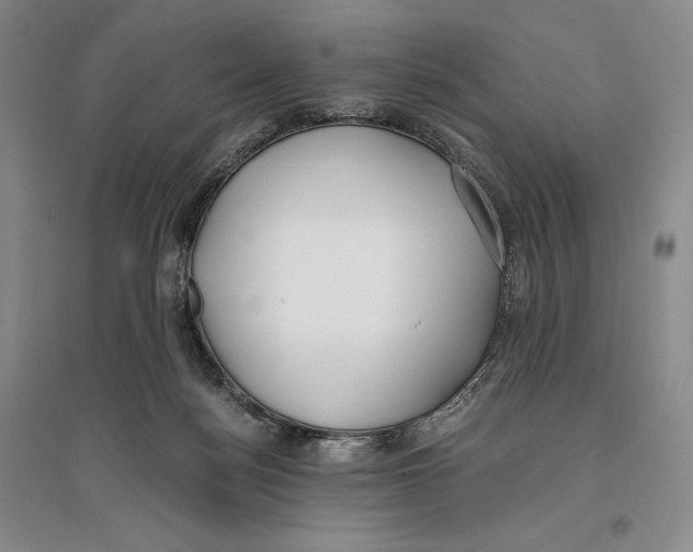 X0000096180172200802151449