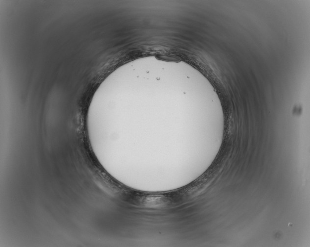 X0000096180173200802151449