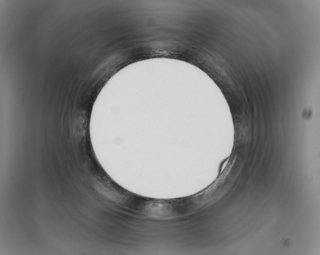 X0000096180174200802151449