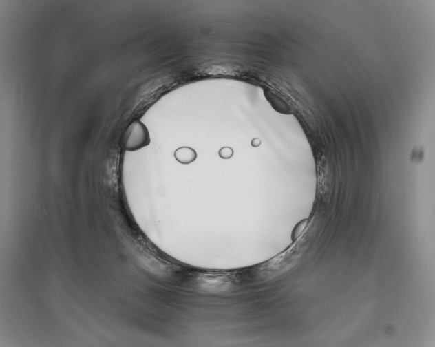 X0000096180175200802151449