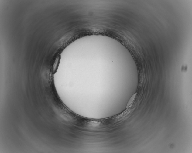 X0000096180176200802151449