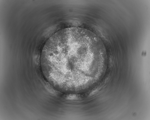 X0000096180177200802151449