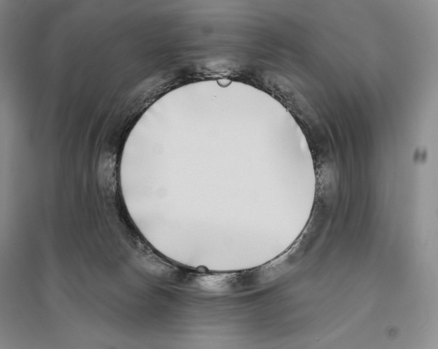 X0000096180178200802151449