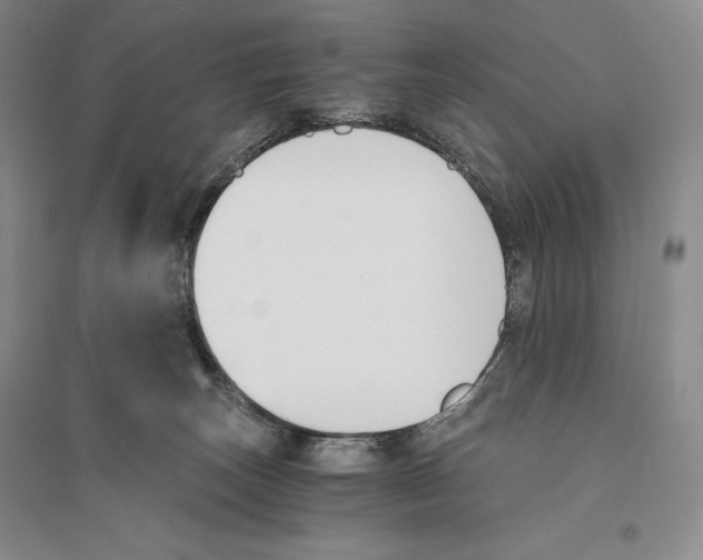 X0000096180179200802151449