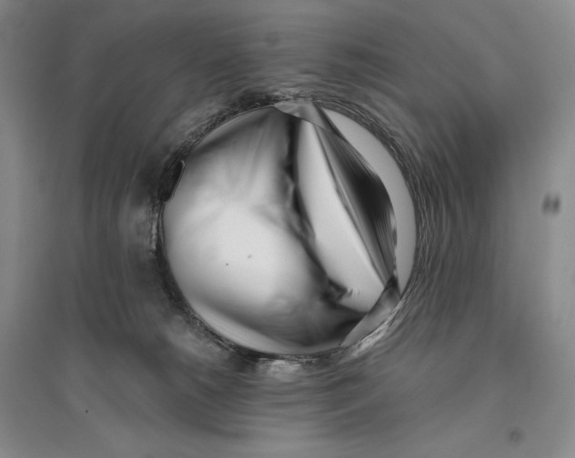 X0000096180180200802151449