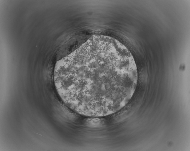 X0000096180181200802151449