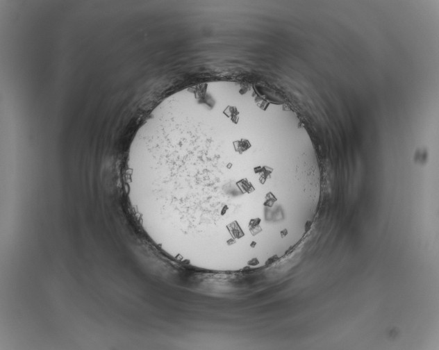 X0000096180182200802151449