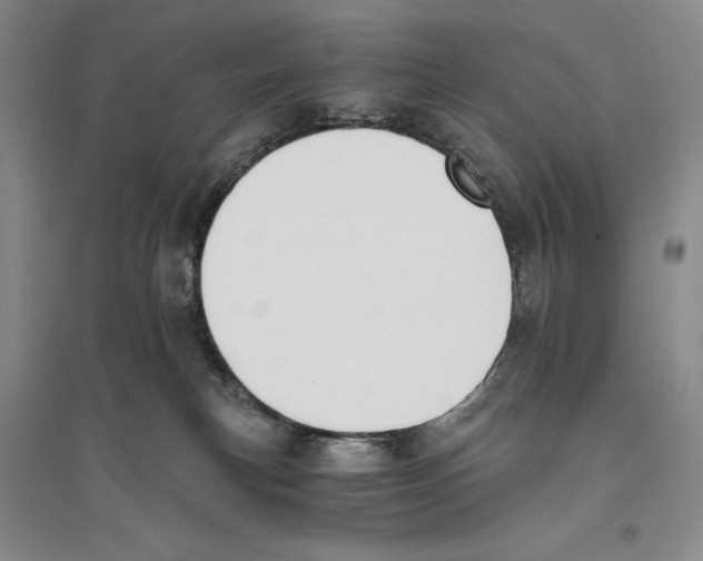 X0000096180183200802151449