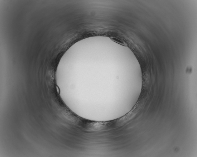 X0000096180184200802151449