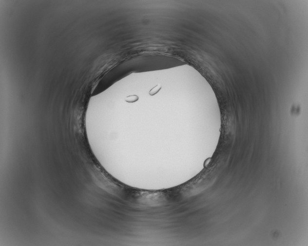 X0000096180185200802151449