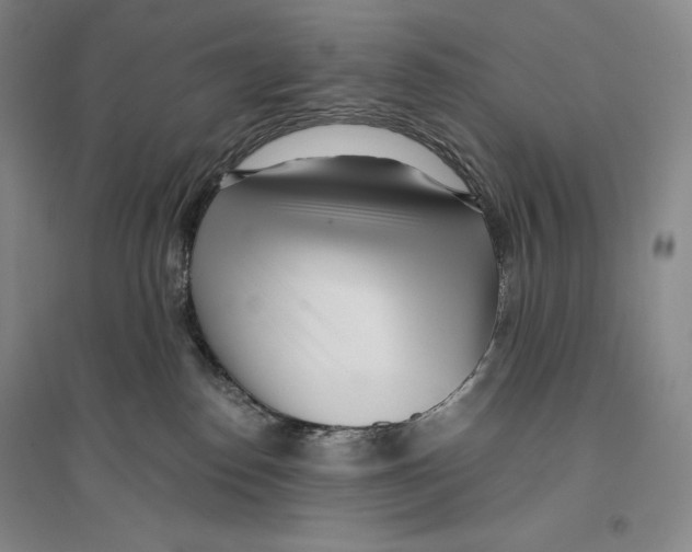 X0000096180186200802151449