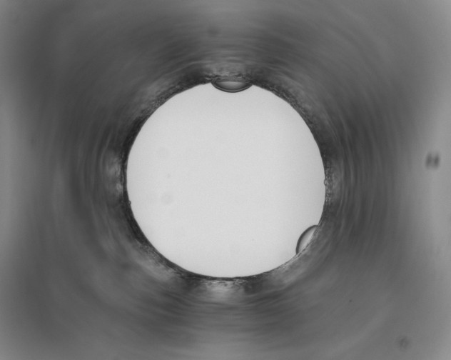 X0000096180187200802151449