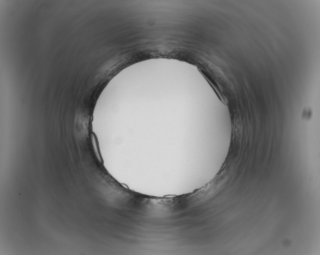X0000096180188200802151449