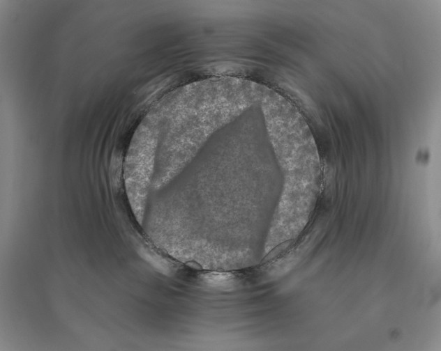 X0000096180189200802151449