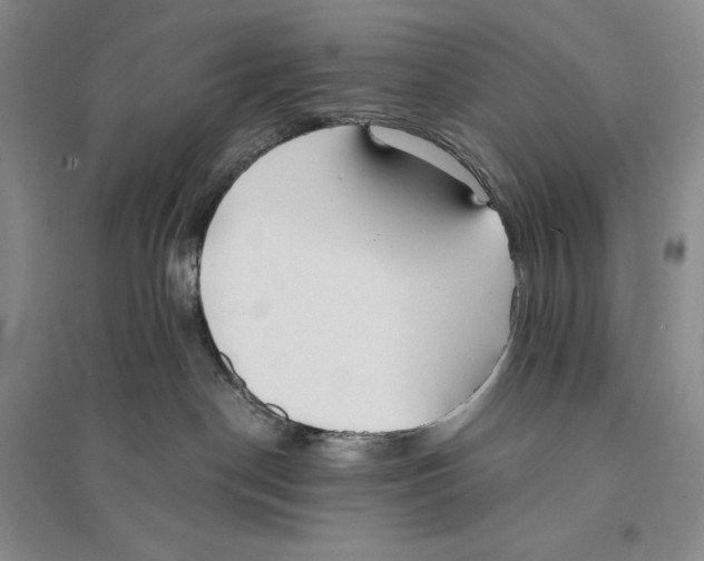 X0000096180190200802151449