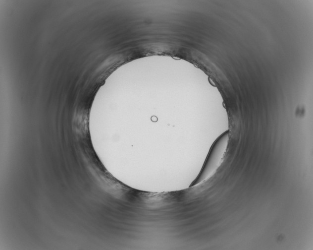 X0000096180191200802151449