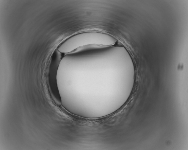 X0000096180193200802151449
