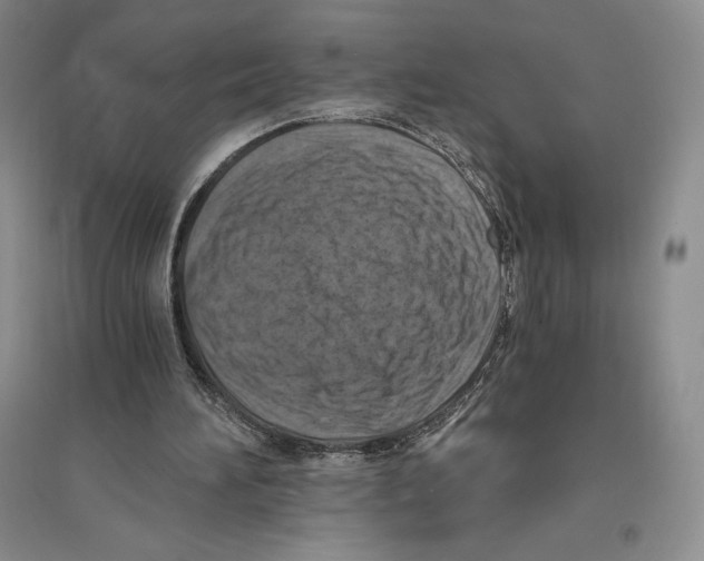 X0000096180196200802151449