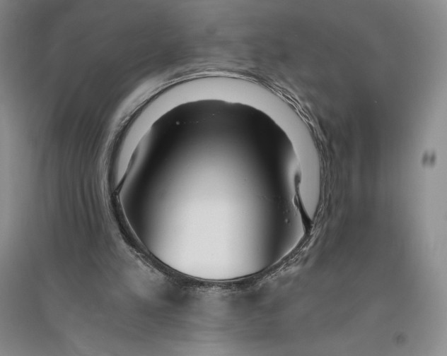 X0000096180197200802151449