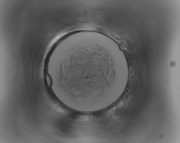 X0000096180200200802151449