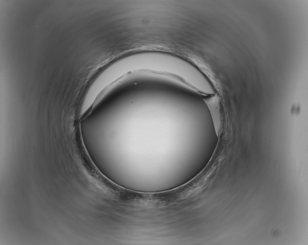 X0000096180201200802151449