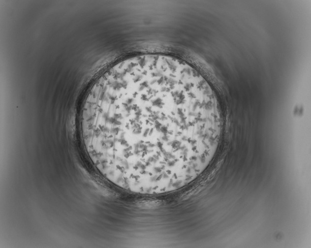 X0000096180202200802151449