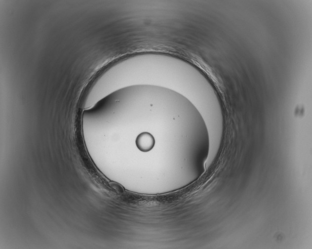 X0000096180203200802151449