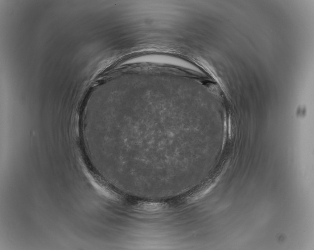 X0000096180205200802151449