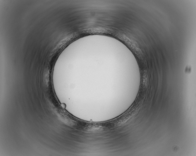 X0000096180206200802151449