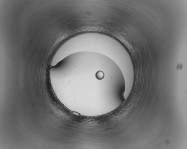 X0000096180207200802151449