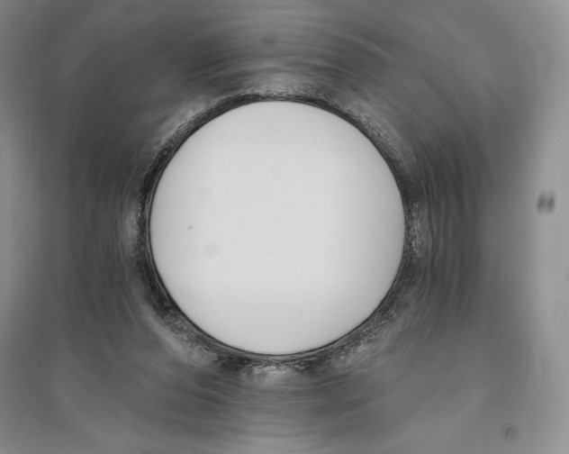 X0000096180208200802151449