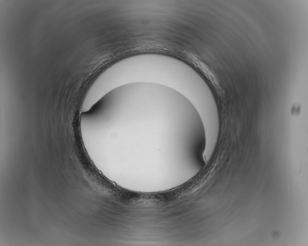 X0000096180209200802151449