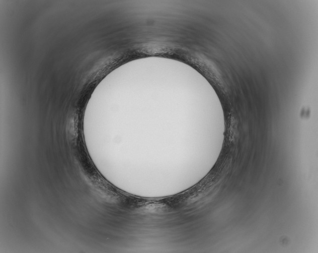 X0000096180210200802151449