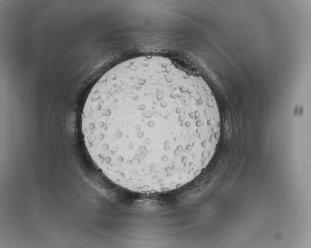 X0000096180211200802151449