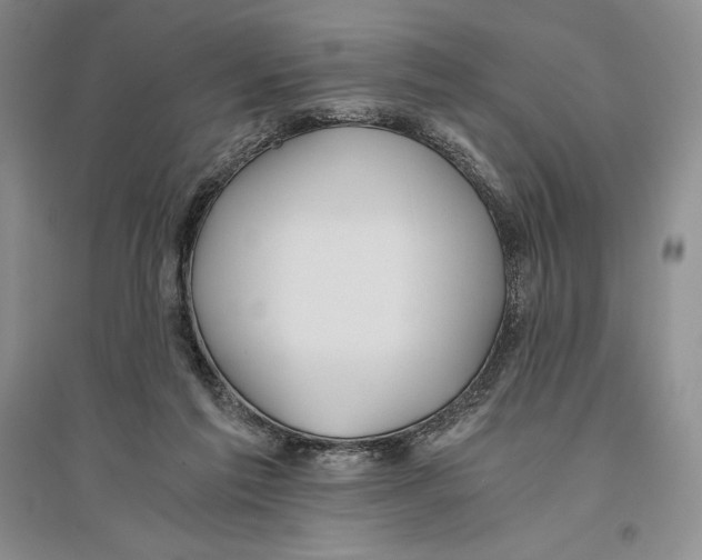 X0000096180213200802151448