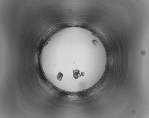 X0000096180214200802151448