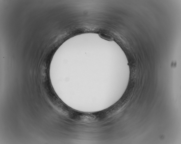 X0000096180215200802151448