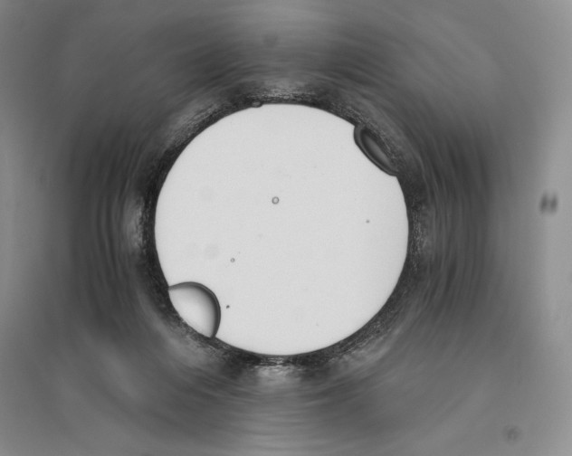 X0000096180216200802151448