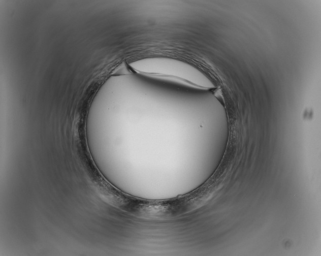 X0000096180217200802151448