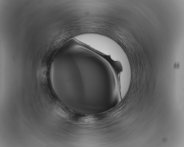 X0000096180219200802151448