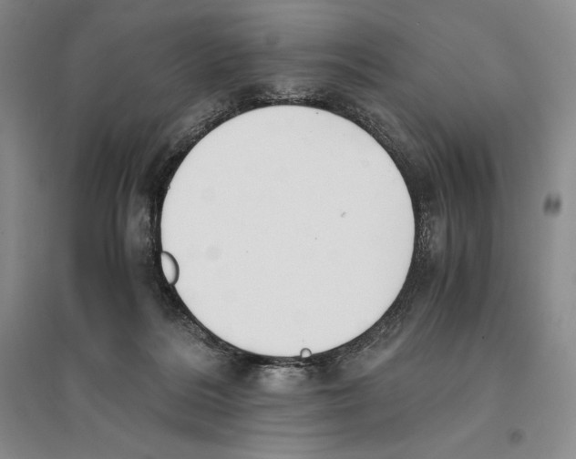 X0000096180220200802151448