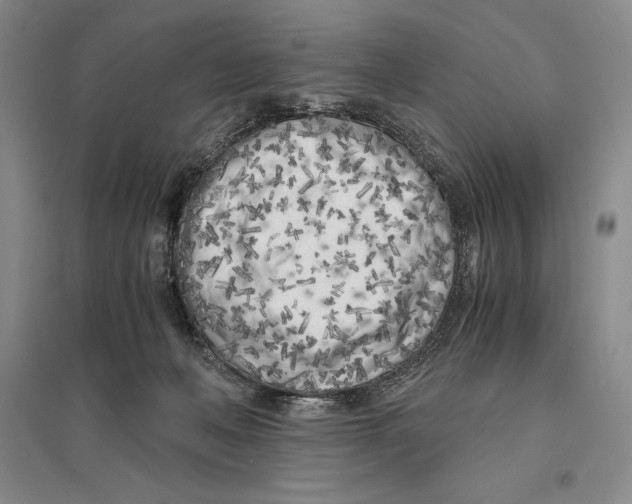 X0000096180222200802151448