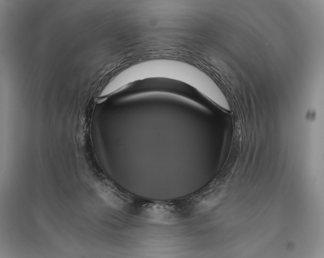 X0000096180223200802151448