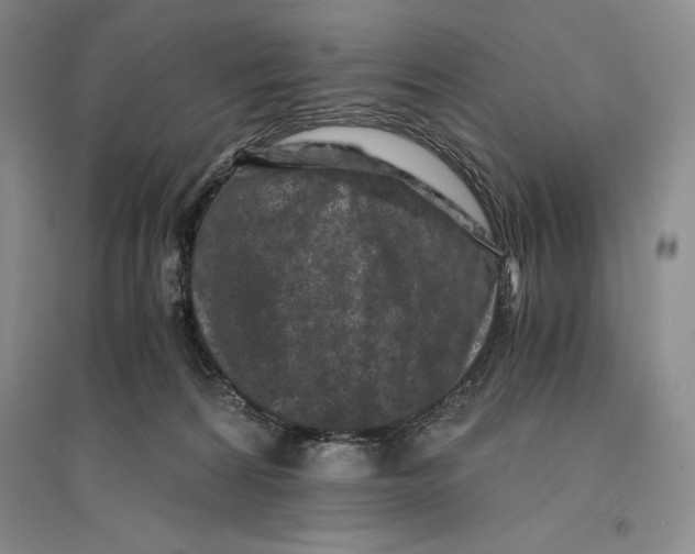 X0000096180224200802151448