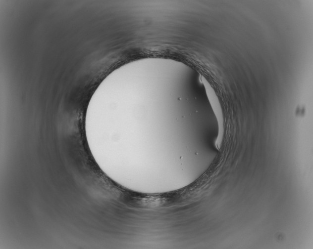 X0000096180225200802151448
