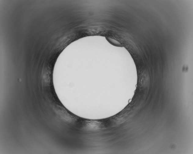 X0000096180226200802151448